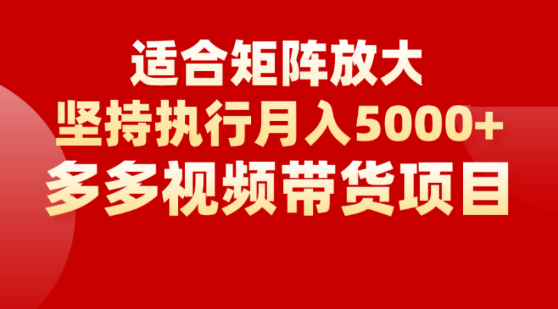 矩阵操作月入5000+，多多视频带货项目，适合新手，也适合老手放大-副业库