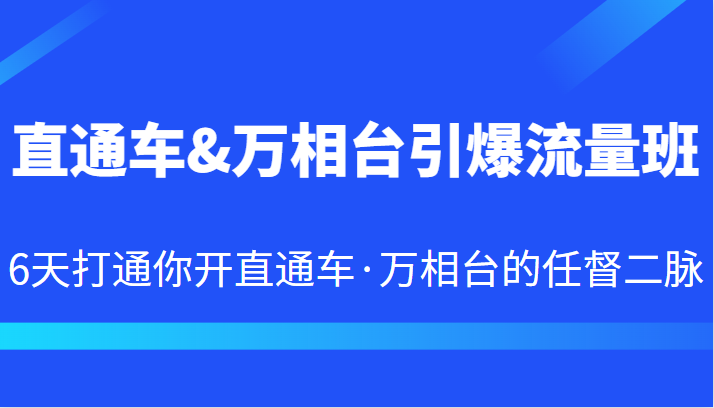 直通车&万相台引爆流量班 6天打通你开直通车·万相台的任督二脉-副业网