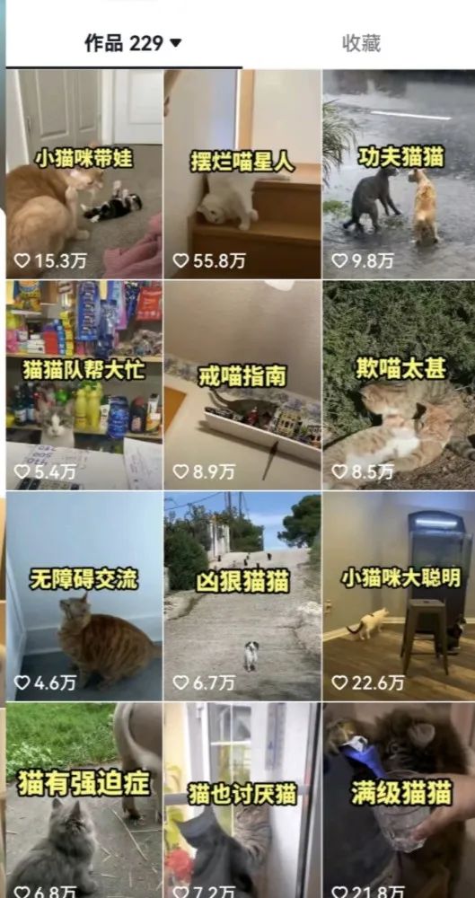 图片[3]-拆解：抖音盘点类中视频变现副业项目，视频版一条龙大解析分享给你-副业网