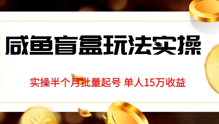 独家首发咸鱼盲盒玩法实操，半个月批量起号单人15万收益揭秘-副业网