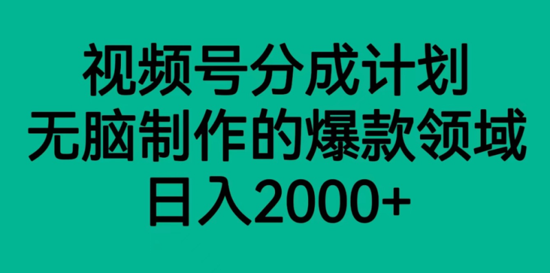 视频号分成计划，轻松无脑制作的爆款领域，日入2000+-副业网