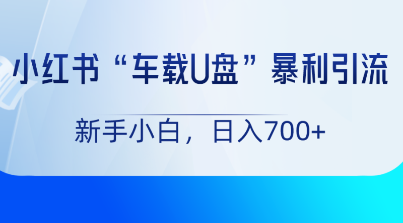 小红书“车载U盘”项目,暴利引流,新手小白轻松日入700+-副业网