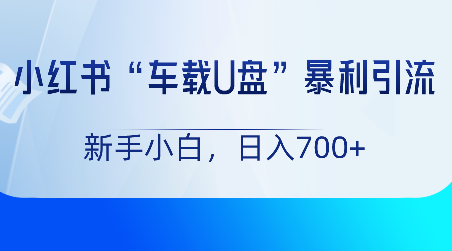 小红书“车载U盘”项目，暴利引流，新手小白轻松日入700+-副业网