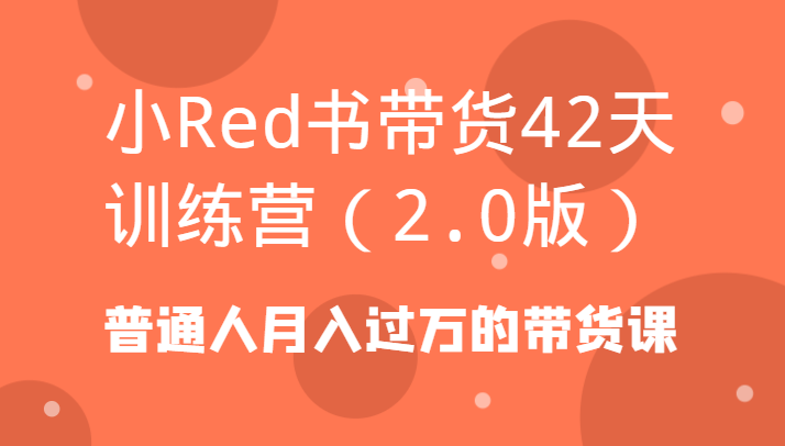 小Red书带货42天训练营（2.0版）普通人月入过万的带货课-副业网