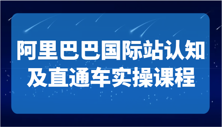 阿里巴巴国际站认知及直通车实操课-国际地产逻辑、国际站运营定位、TOP商家运营思路-副业库