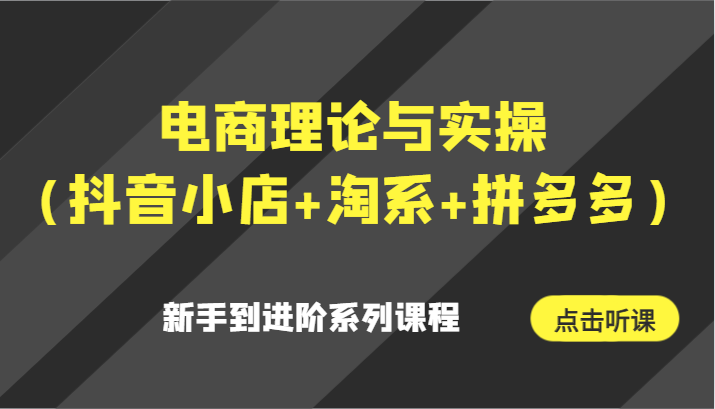 电商理论与实操（抖音小店+淘系+拼多多）新手到进阶系列课程-副业网