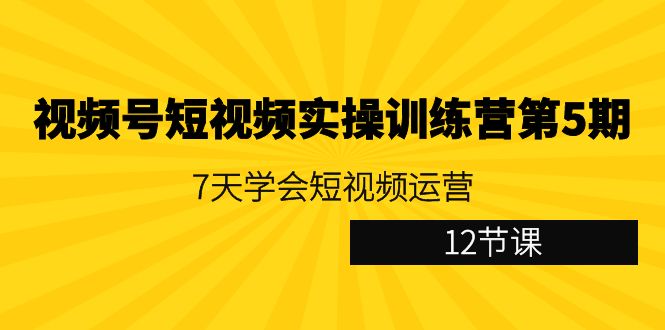 视频号短视频实操训练营第5期：7天学会短视频运营（12节课）-副业库