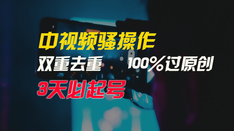 中视频骚操作，双重去重100%过原创，3天比必起号，简单无脑，月入3W+-副业网