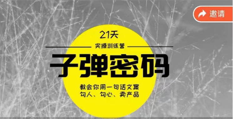 《子弹密码训练营》用一句话文案勾人勾心卖产品，21天学到顶尖文案大师策略和技巧-副业网