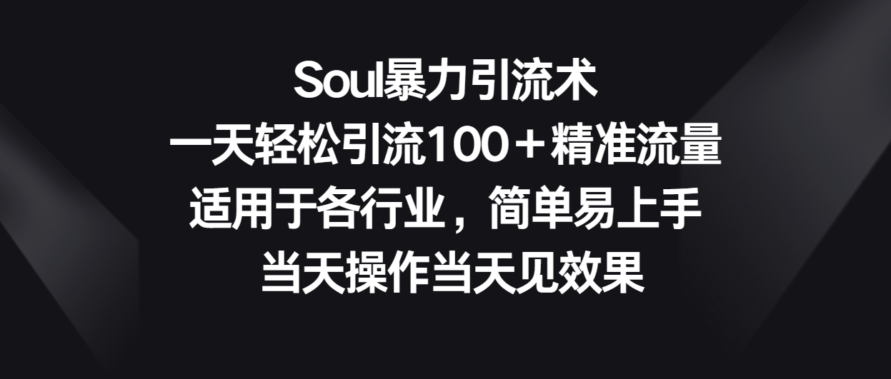 Soul暴力引流术，一天轻松引流100＋精准流量，适用于各行业，简单易上手！-副业网