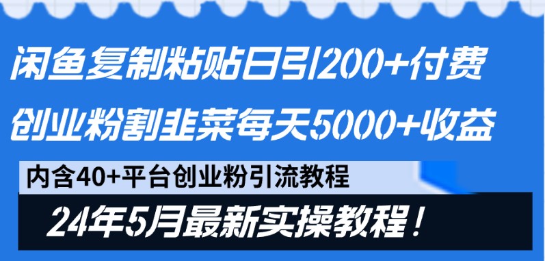 闲鱼复制粘贴日引200+付费创业粉，24年5月最新方法！割韭菜日稳定5000+收益-副业网