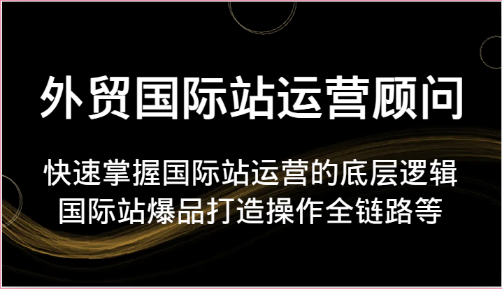 外贸国际站运营顾问-快速掌握国际站运营的底层逻辑，国际站爆品打造操作全链路等-副业库