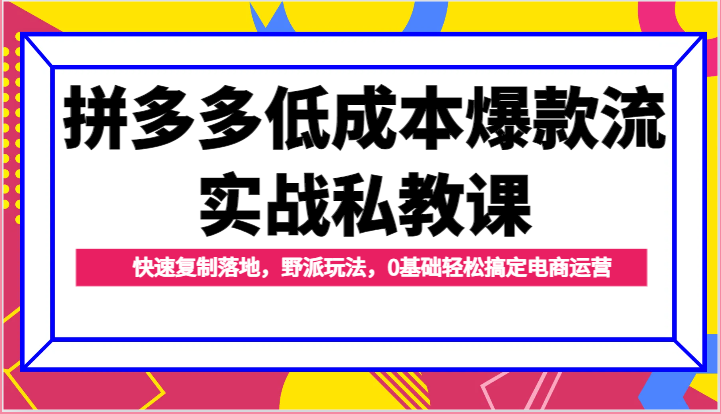 拼多多低成本爆款流实战私教课，快速复制落地，野派玩法，0基础轻松搞定电商运营-副业库