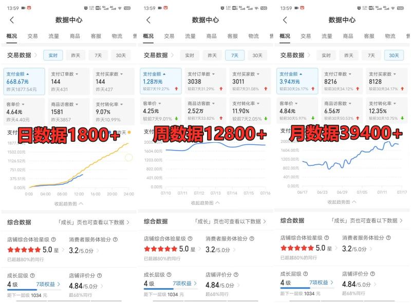 图片[3]-拼多多虚拟电商训练营月入50000+你也行，暴利稳定长久，副业首选-副业网