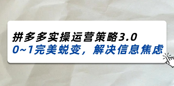 2024-2025拼多多实操运营策略3.0，0~1完美蜕变，解决信息焦虑（38节）-副业网