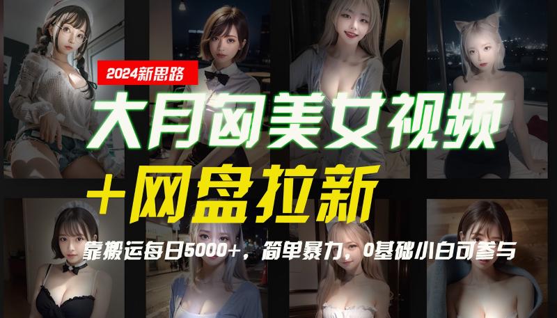 【新思路】大月匈美女视频+网盘拉新，靠搬运每日5000+，简单暴力，0基础小白可参与-副业网
