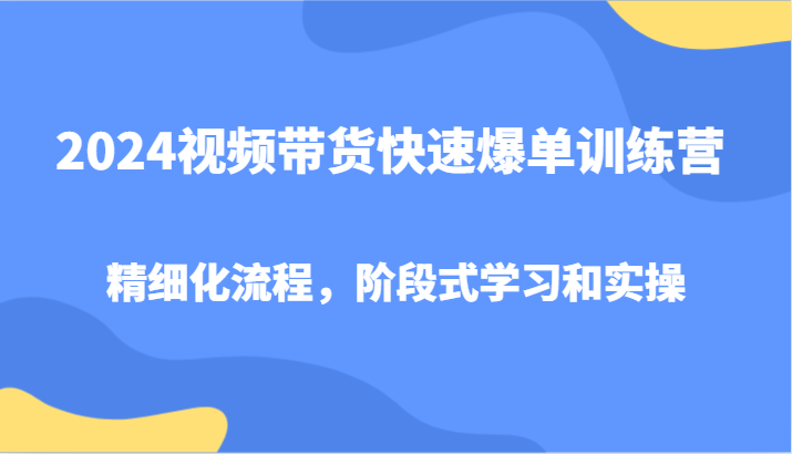 2024视频带货快速爆单训练营，精细化流程，阶段式学习和实操-副业网