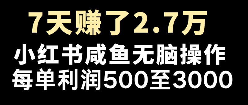 冷门暴利，超级简单的项目0成本玩法，每单在500至4000的利润-副业网
