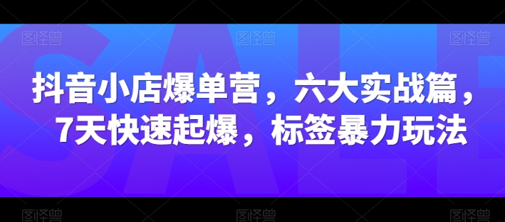 抖音小店爆单营，六大实战篇，7天快速起爆，标签暴力玩法-副业网