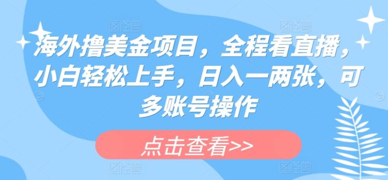 海外撸美金项目，全程看直播，小白轻松上手，日入一两张，可多账号操作【揭秘】-副业网