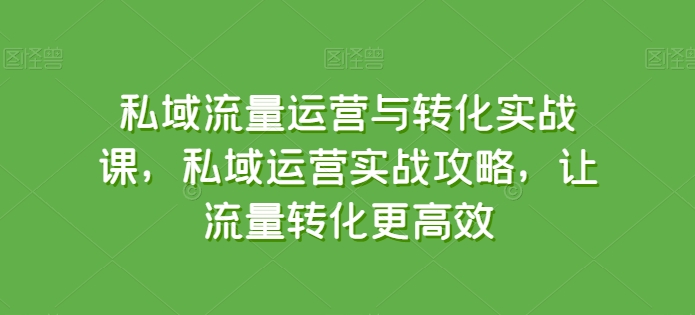 私域流量运营与转化实战课，私域运营实战攻略，让流量转化更高效-副业网