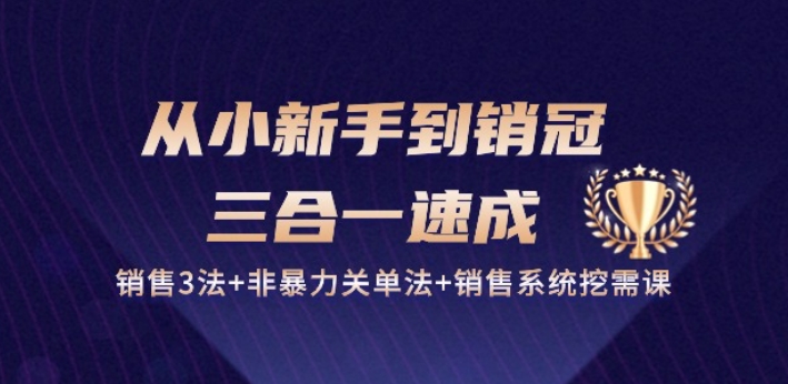 从小新手到销冠 三合一速成：销售3法+非暴力关单法+销售系统挖需课 (27节)-副业网