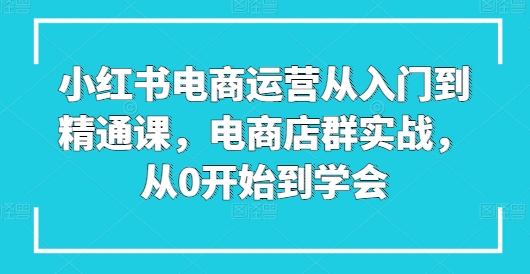小红书电商运营从入门到精通课，电商店群实战，从0开始到学会-副业网