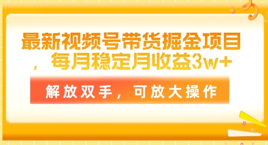 最新视频号带货掘金项目，每月稳定月收益1w+，解放双手，可放大操作-副业库