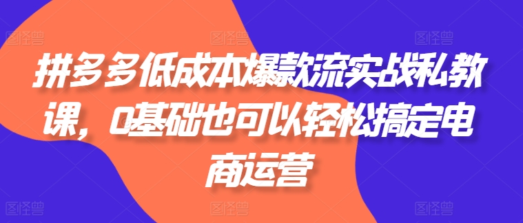 拼多多低成本爆款流实战私教课，0基础也可以轻松搞定电商运营-副业网