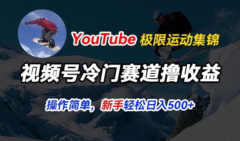 视频号冷门赛道撸收益，YouTube搬运极限运动集锦，暴力起号，操作简单流量高，轻松日入5张-副业网