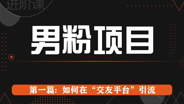 男粉项目系列课程第一篇: Soul暴力引流-副业网