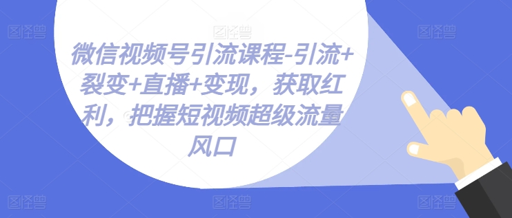 微信视频号引流课程-引流+裂变+直播+变现，获取红利，把握短视频超级流量风口-副业网