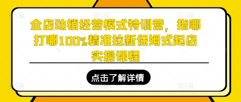全店动销经营模式特训营，指哪打哪100%精准拉新保姆式起店实操课程-副业网