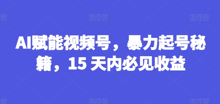 AI赋能视频号，暴力起号秘籍，15 天内必见收益【揭秘】-副业网