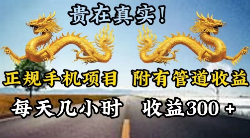 正规手机项目，附有丰富的管道收益，每天几小时，收益300-副业网