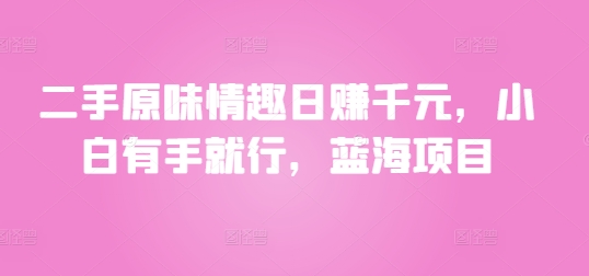 二手原味情趣日赚千元，小白有手就行，蓝海项目-副业库