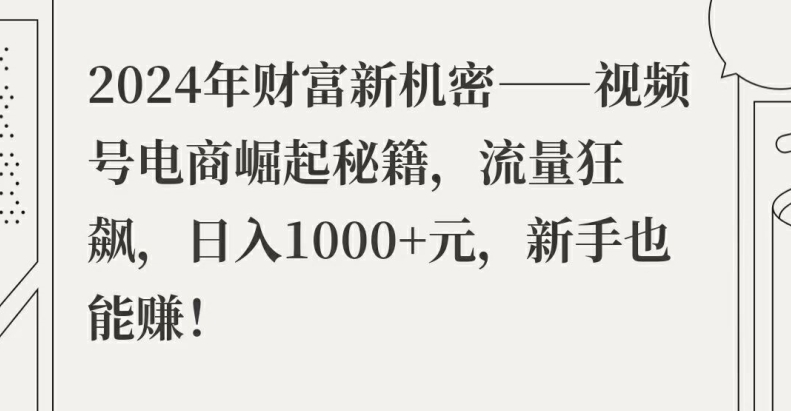 2024年财富新机密——视频号电商崛起秘籍，流量狂飙，日入1k元，新手也能赚-副业网