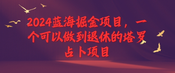2024蓝海掘金项目，一个可以做到退休的塔罗占卜项目-副业库