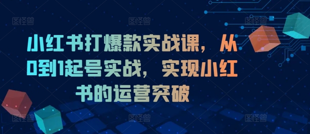 小红书打爆款实战课，从0到1起号实战，实现小红书的运营突破-副业网