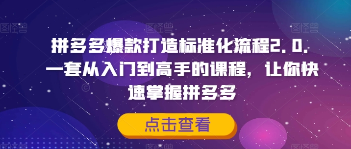 拼多多爆款打造标准化流程2.0，一套从入门到高手的课程，让你快速掌握拼多多-副业库
