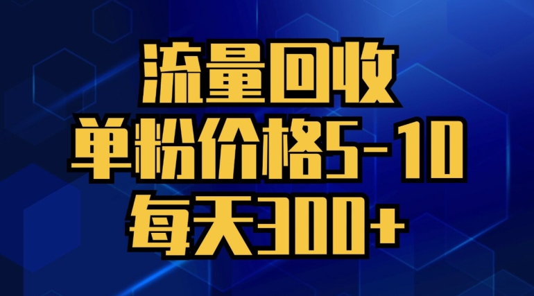 流量回收，单粉价格5-10，每天300+，轻松月入五位数-副业库