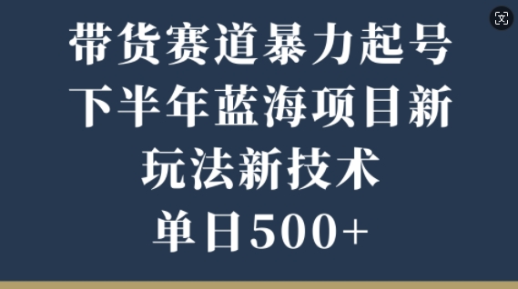 带货赛道暴力起号，下半年蓝海项目，新玩法新技术，单日500+-副业库