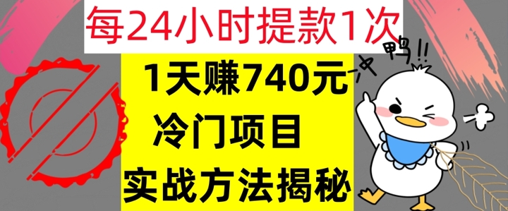 1天赚740元，24小时提款1次，冷门项目，实战方法公开【干货】-副业网
