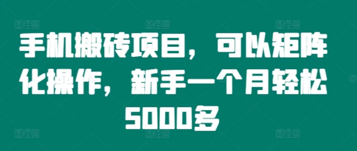 手机搬砖项目，可以矩阵化操作，新手一个月轻松5000多-副业网
