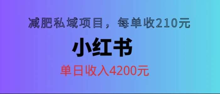 小红书减肥私域项目，每单210元，单日可卖出15单，利润3150-副业库