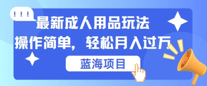 最新成人用品项目玩法，操作简单，动动手，轻松日入几张【揭秘】-副业网