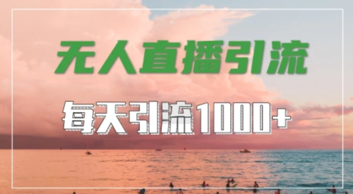 抖音快手视频号全平台通用，无人直播引流法，超暴力引流1000+高质量精准创业粉-副业网