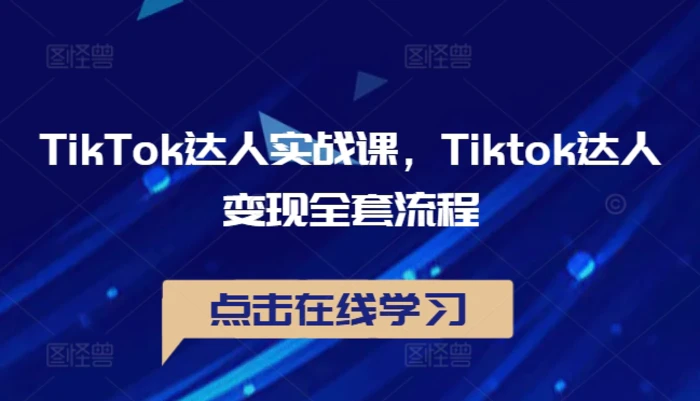 TikTok达人实战课，Tiktok达人变现全套流程-副业网