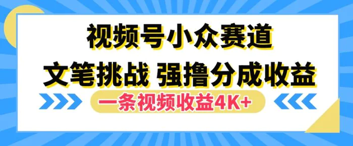 视频号新赛道之文笔挑战，强撸分成收益，一条视频赚了4K+-副业网