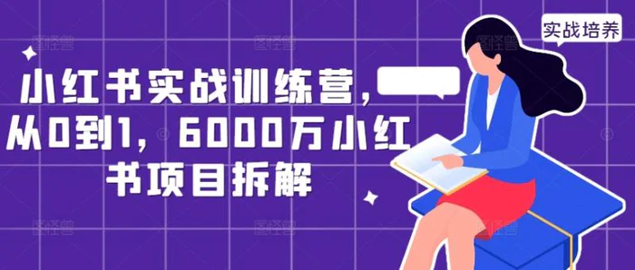 小红书实战训练营，从0到1，6000万小红书项目拆解-副业网